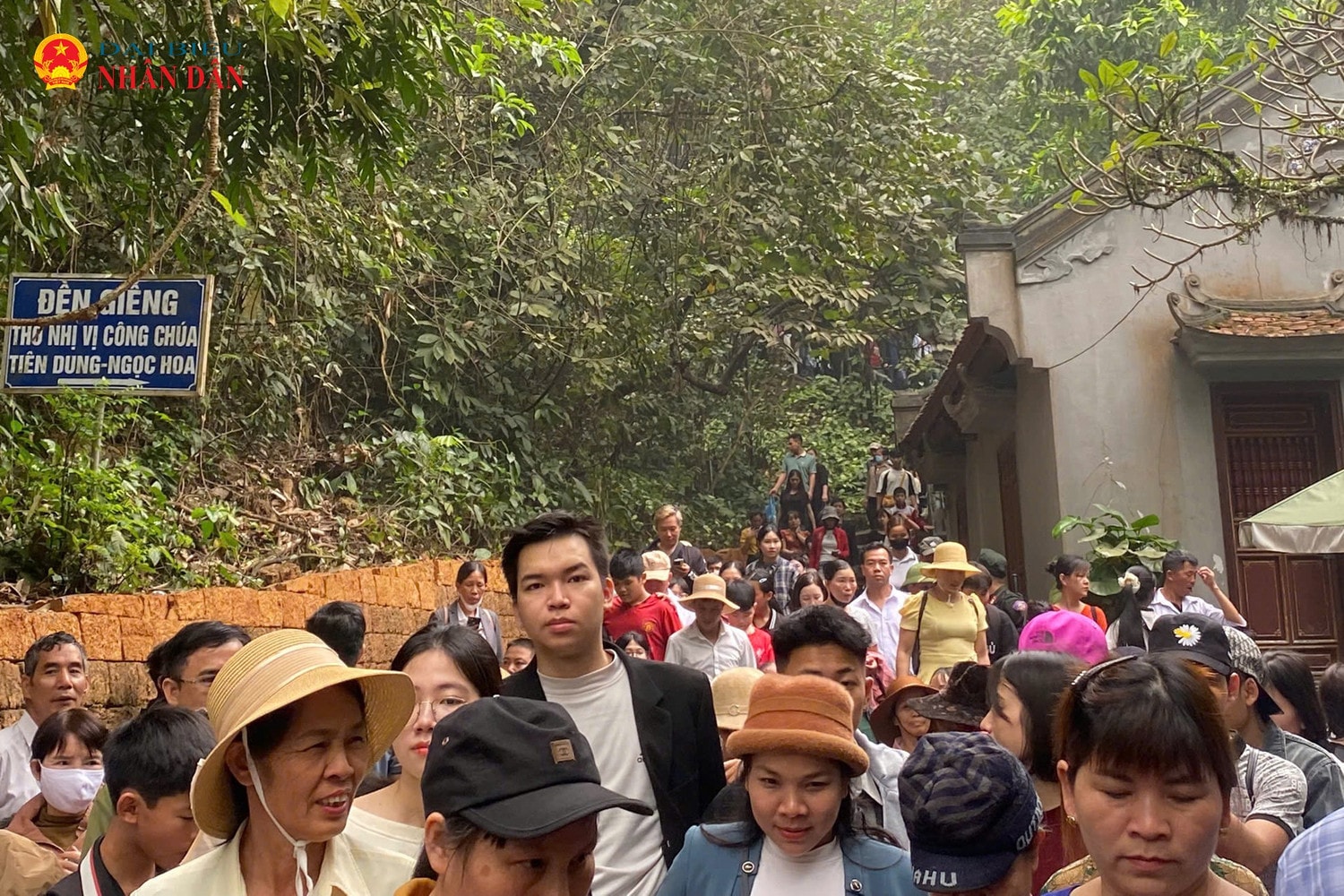 den-hung-4.jpg