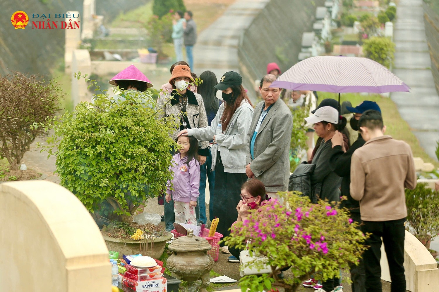 tet-thanh-minh-2025-2.jpg