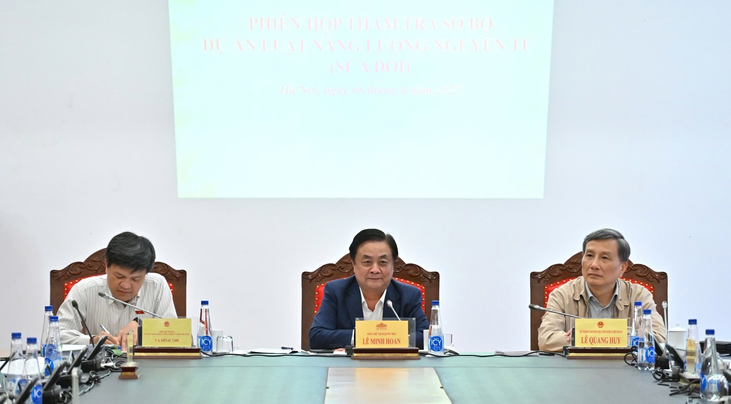 Phó Chủ tịch Quốc hội Lê Minh Hoan dự phiên họp thẩm tra sơ bộ dự án Luật Năng lượng nguyên tử (sửa đổi) ảnh 1