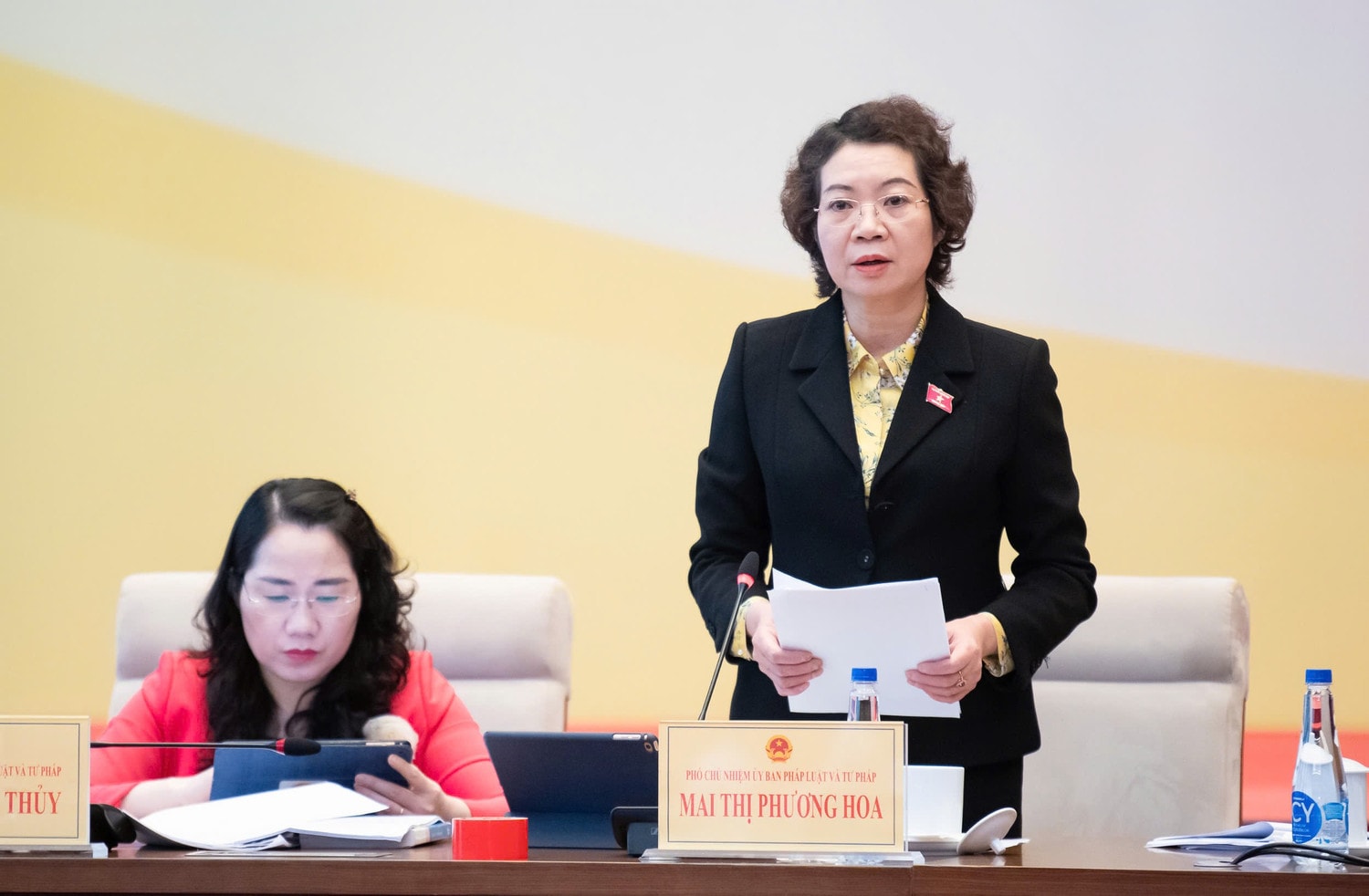 Phó Chủ nhiệm Ủy ban Pháp luật và Tư pháp Mai Thị Phương Hoa phát biểu
