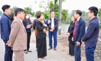 Bài 1: Hiệu quả tích cực