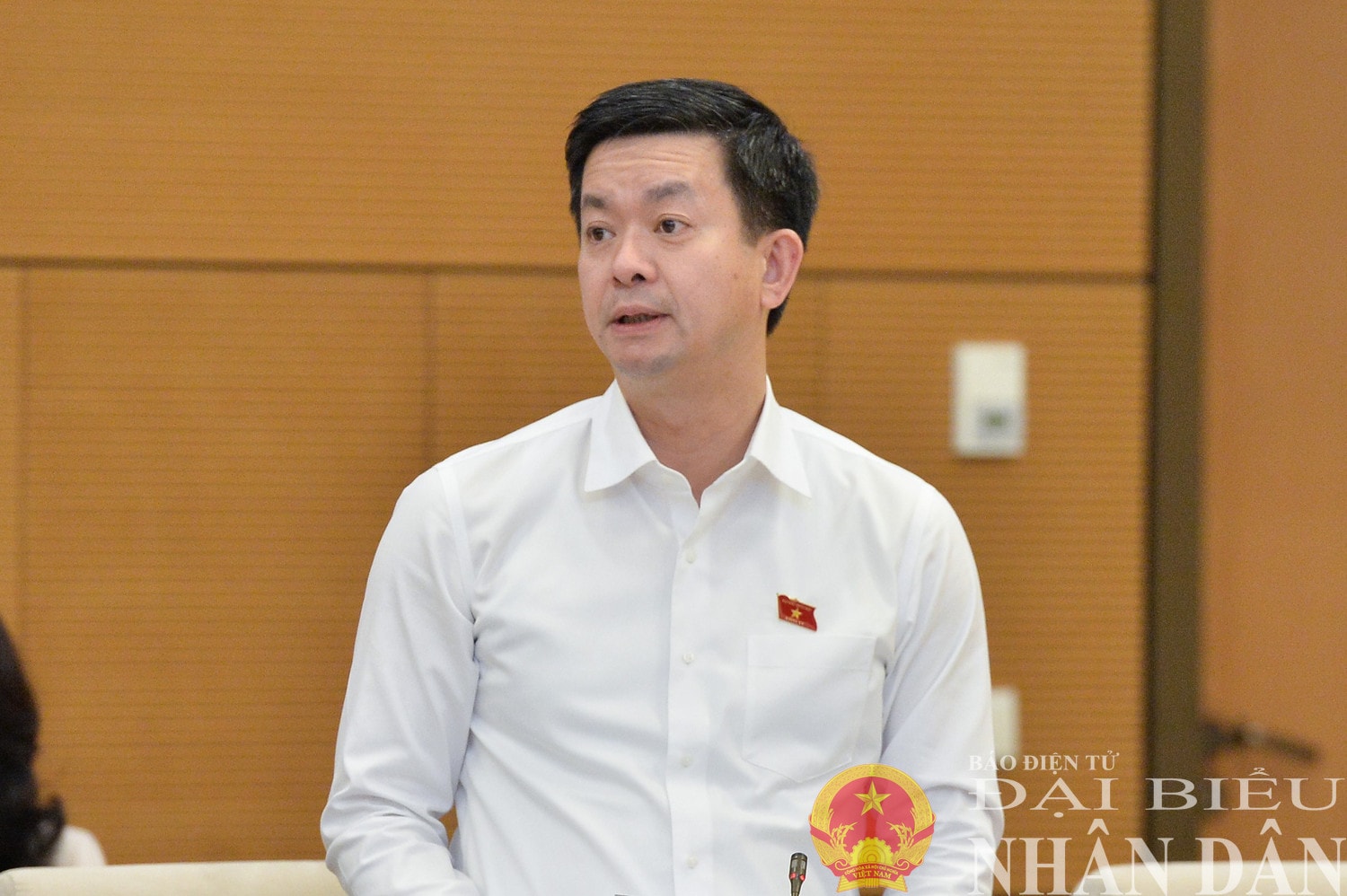dbnd_br_tong-thu-ky-qh-chu-nhiem-vpqh-le-quang-tung-phat-bieu.jpg