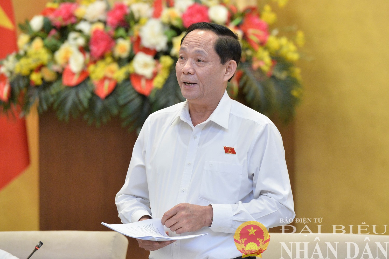 dbnd_br_pho-chu-tich-qh-tran-quang-phuong-phat-bieu-1.jpg