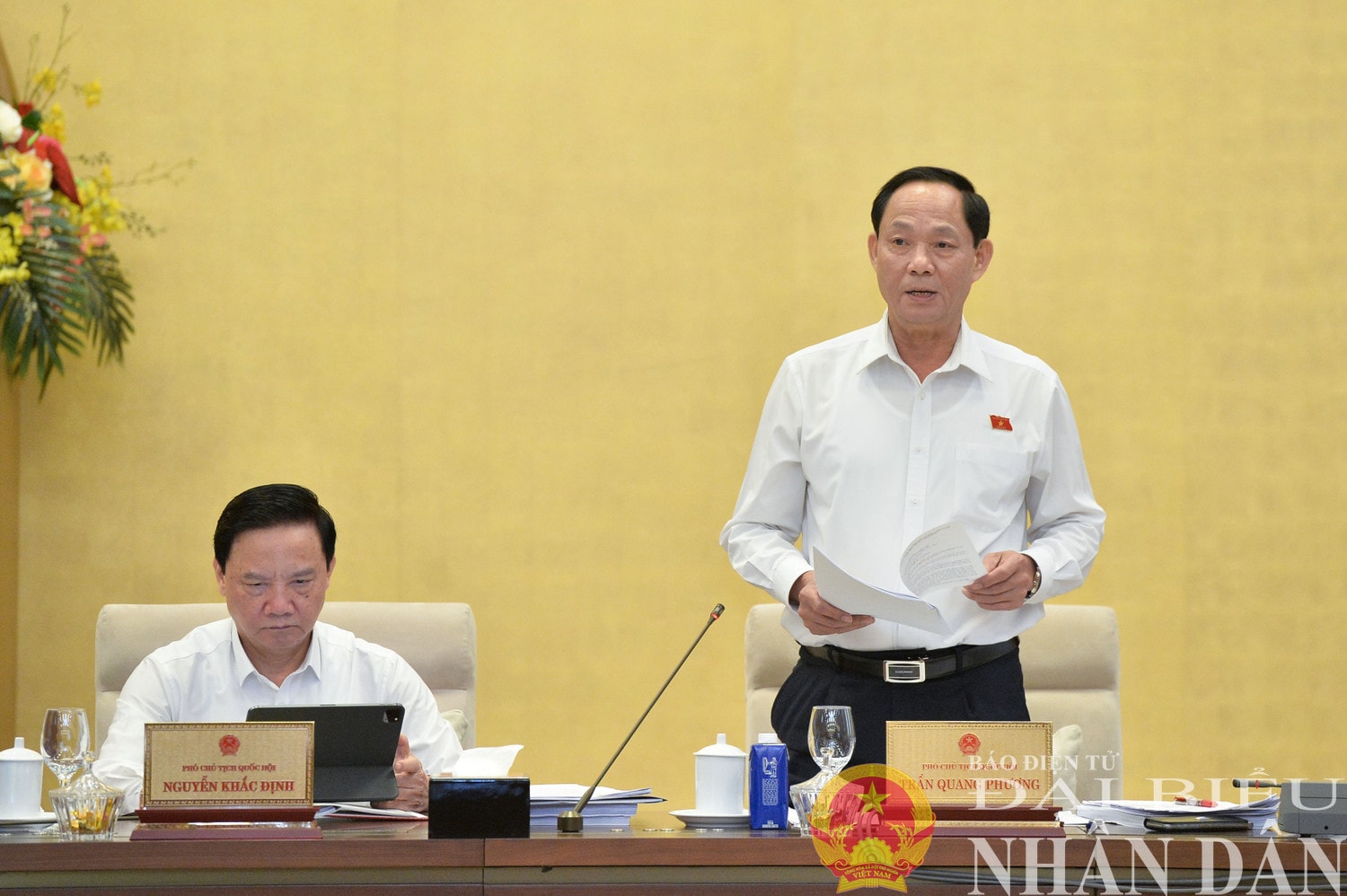 dbnd_br_pho-chu-tich-qh-tran-quang-phuong-phat-bieu.jpg