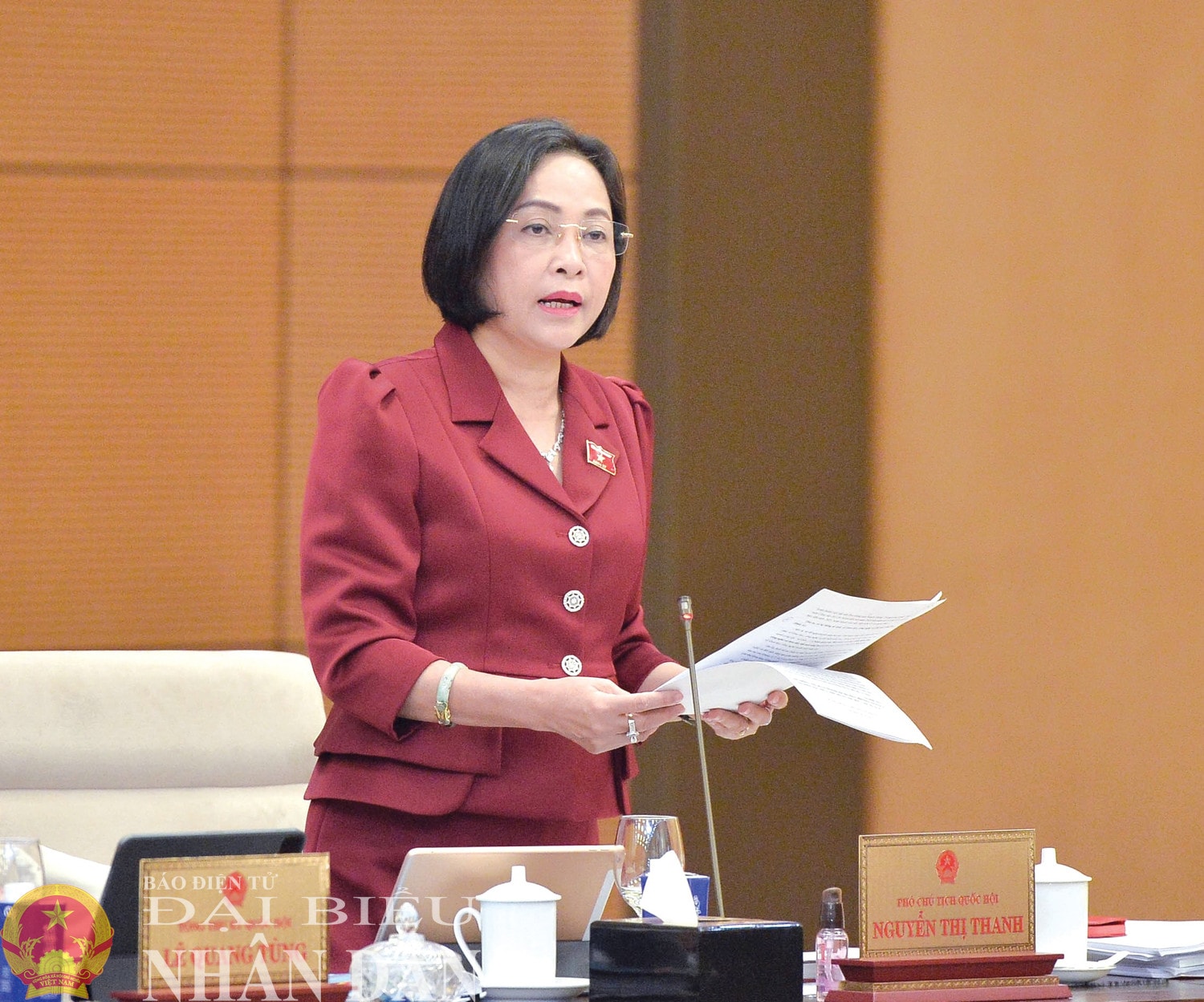 dbnd_bl_pctqh-nguyen-thi-thanh.jpg