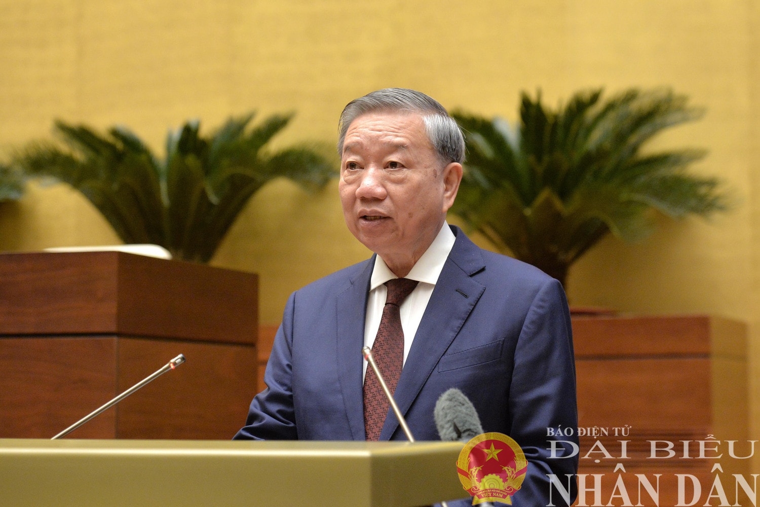 dbnd_br_tong-bi-thu-to-lam-phat-bieu.jpg