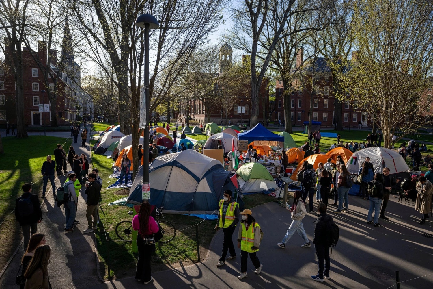 Sinh viên Harvard cắm trại trong khuôn viên của trường để phản đối yêu sách của Chính quyền Tổng thống Donald Trump. Ảnh: AP