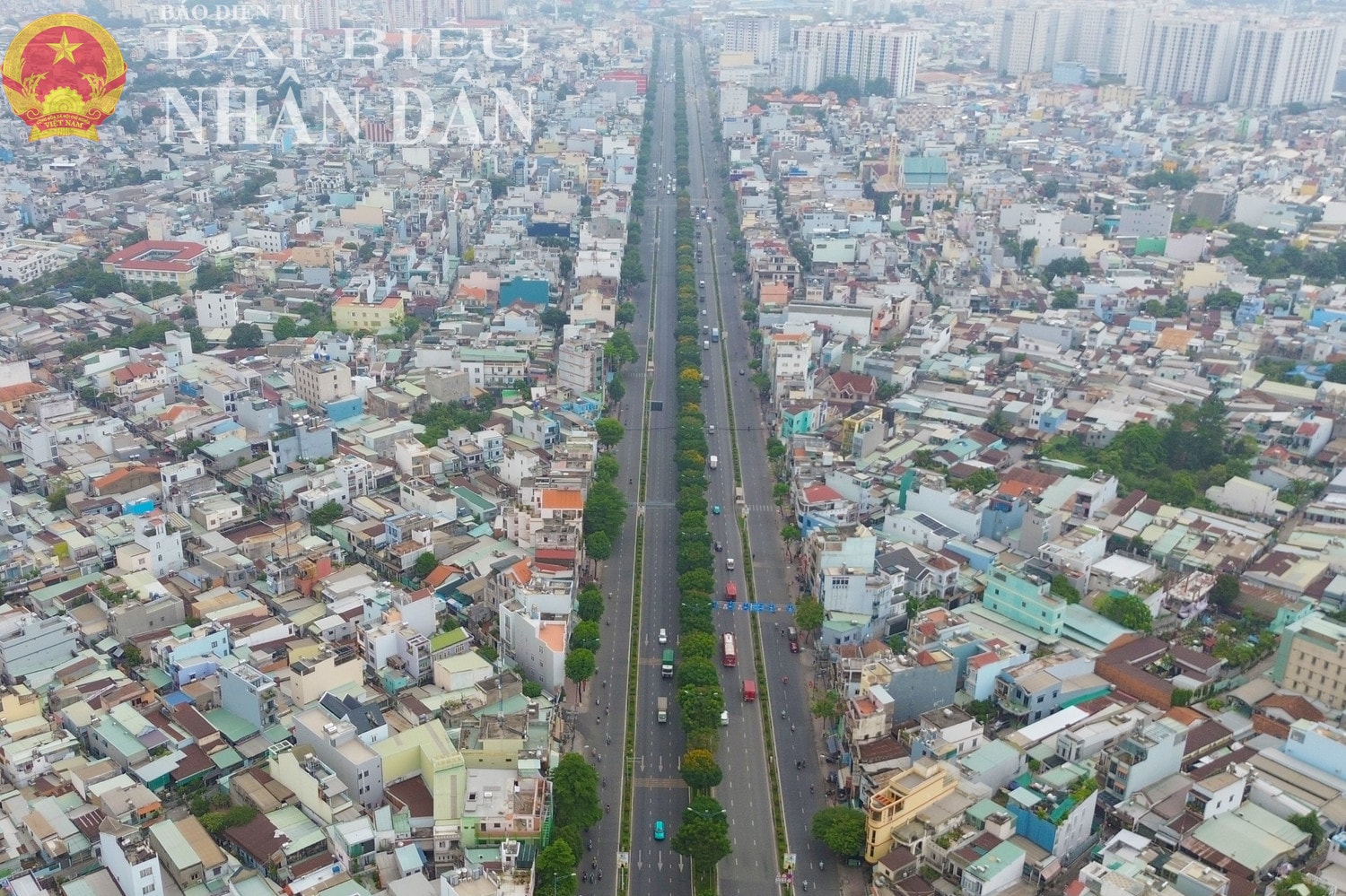 dbnd_tl_dji-0009.jpg