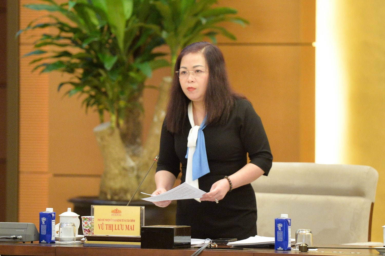 Phó Chủ nhiệm Ủy ban Kinh tế và Tài chính Vũ Thị Lưu Mai phát biểu. Ảnh: Hồ Long