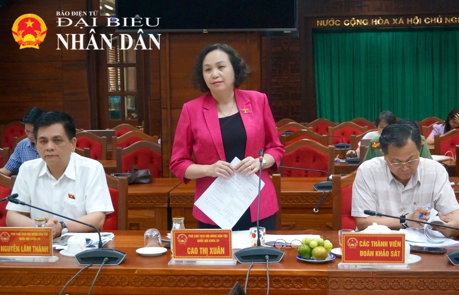 Phó Chủ tịch Hội đồng Dân tộc Cao Thị Xuân phát biểu