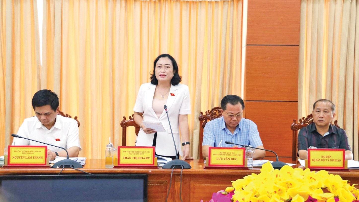 Phó Chủ tịch Hội đồng Dân tộc Trần Thị Hoa Ry phát biểu tại cuộc làm việc