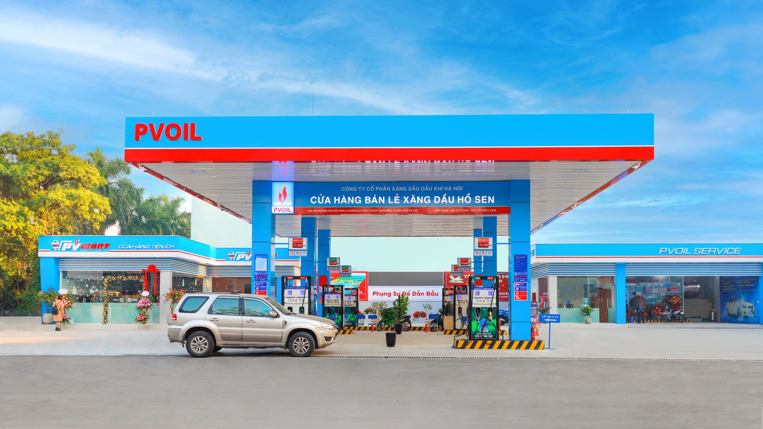 anh-pvoil-1.jpg