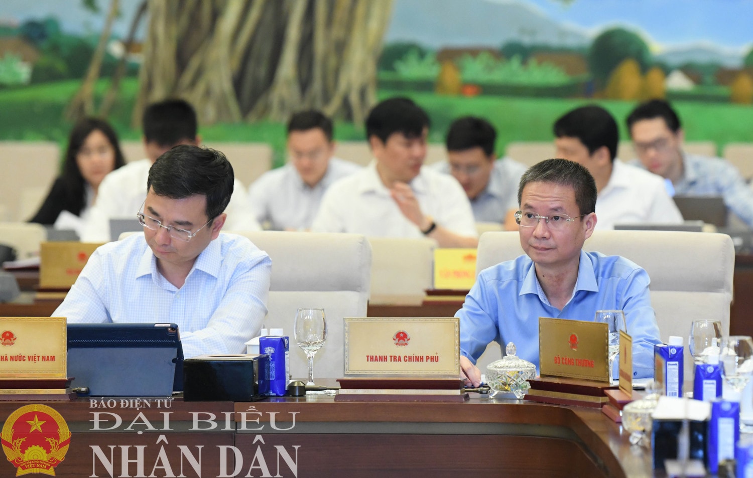 dbnd_bl_cac-dai-bieu-tham-du-phien-hop4.jpg