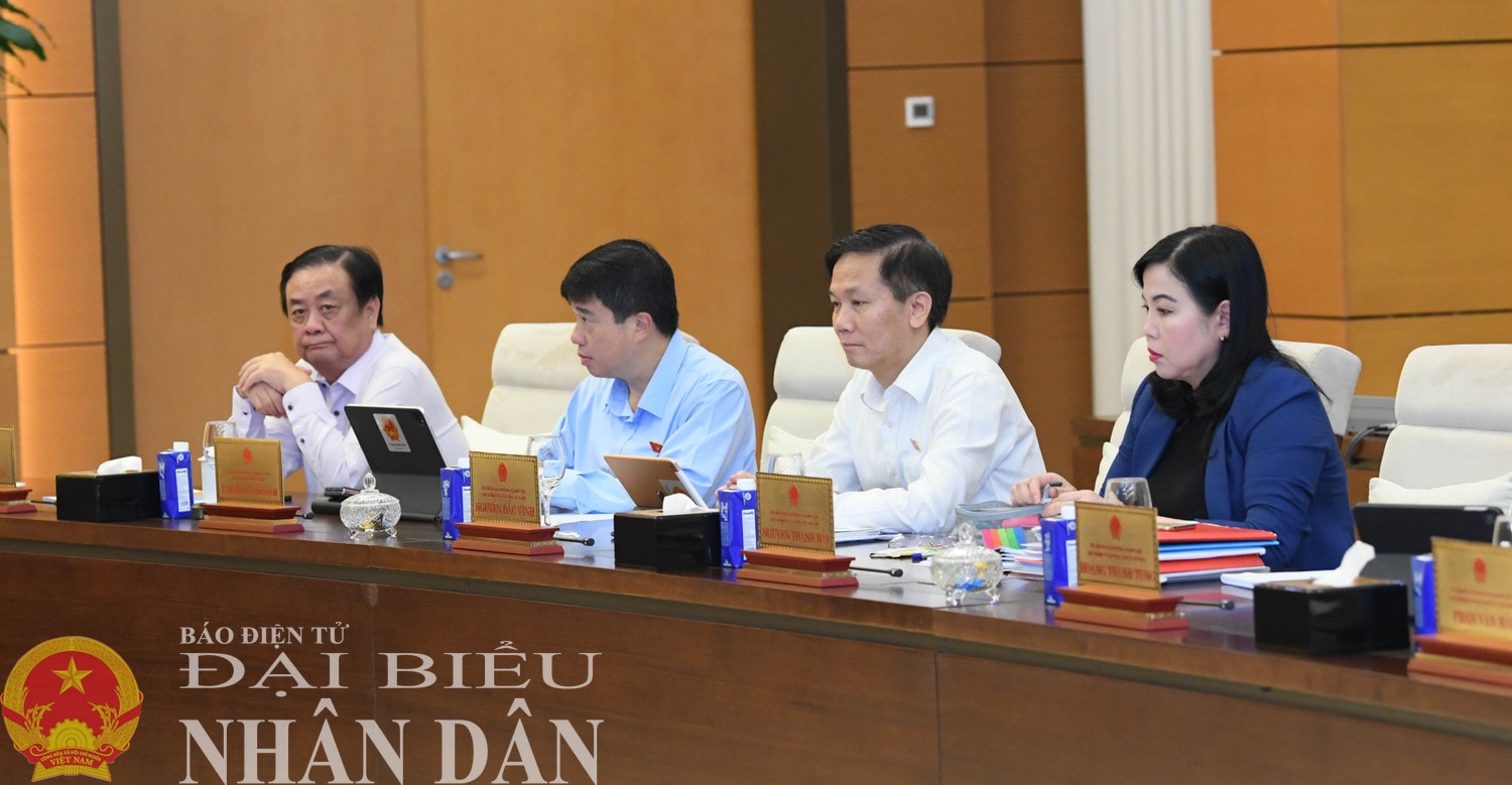 dbnd_bl_cac-dai-bieu-tham-du-phien-hop5.jpg