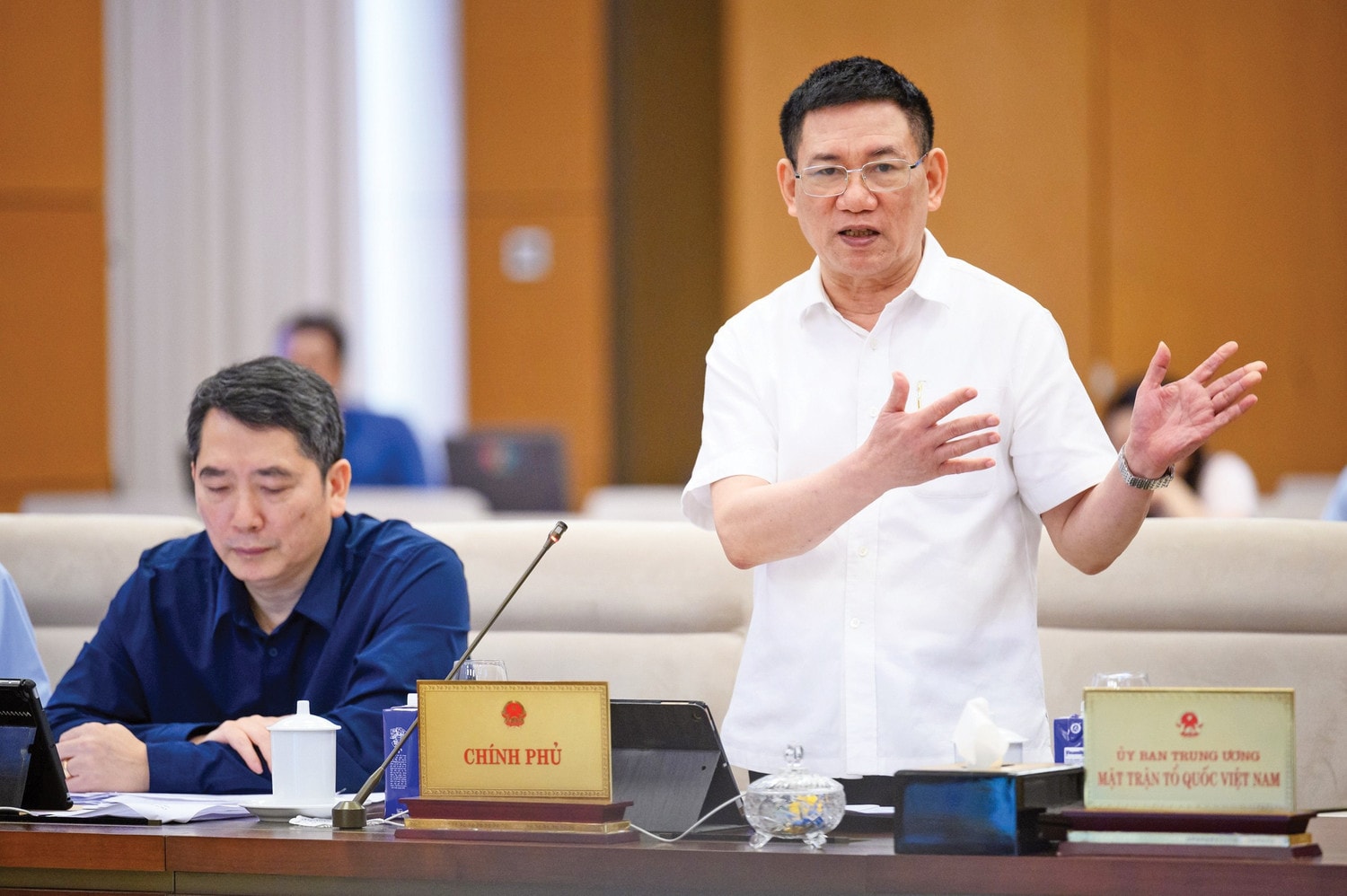 tt-chinh-phu1.jpg