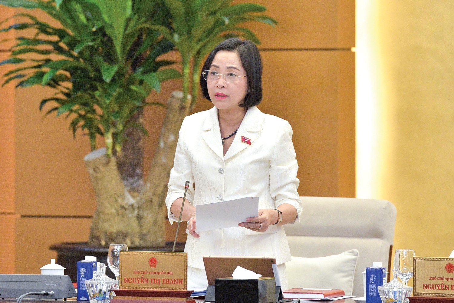 pctqh-nguyen-thi-thanh1.jpg
