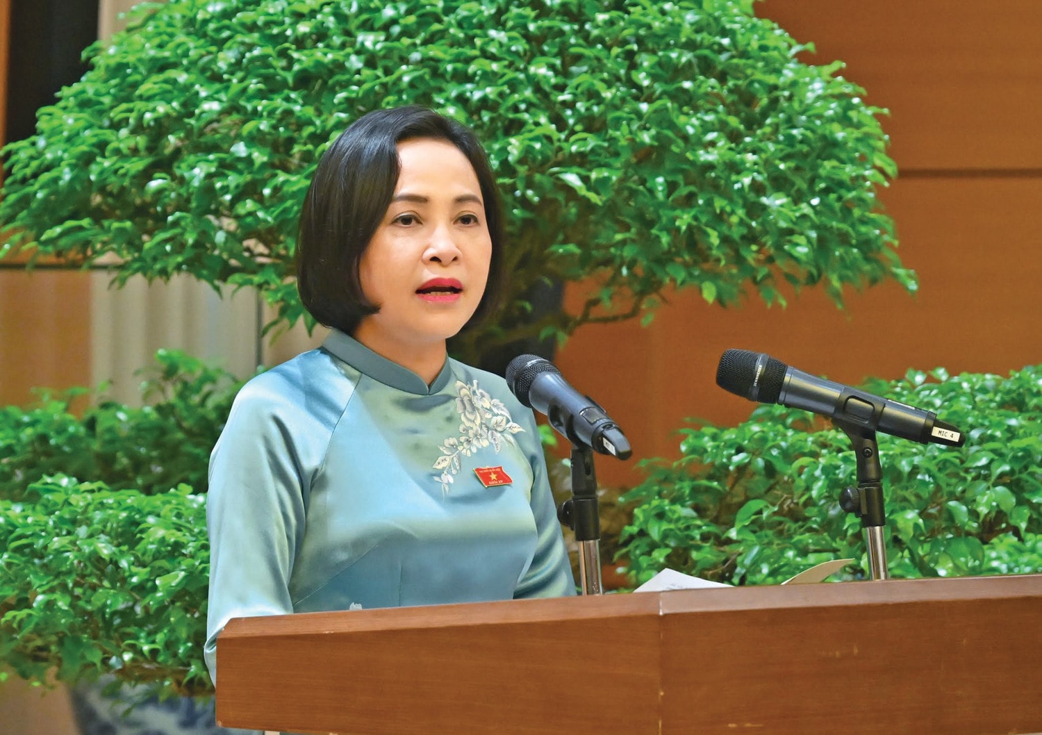pctqh-nguyen-thi-thanh1-362.jpg