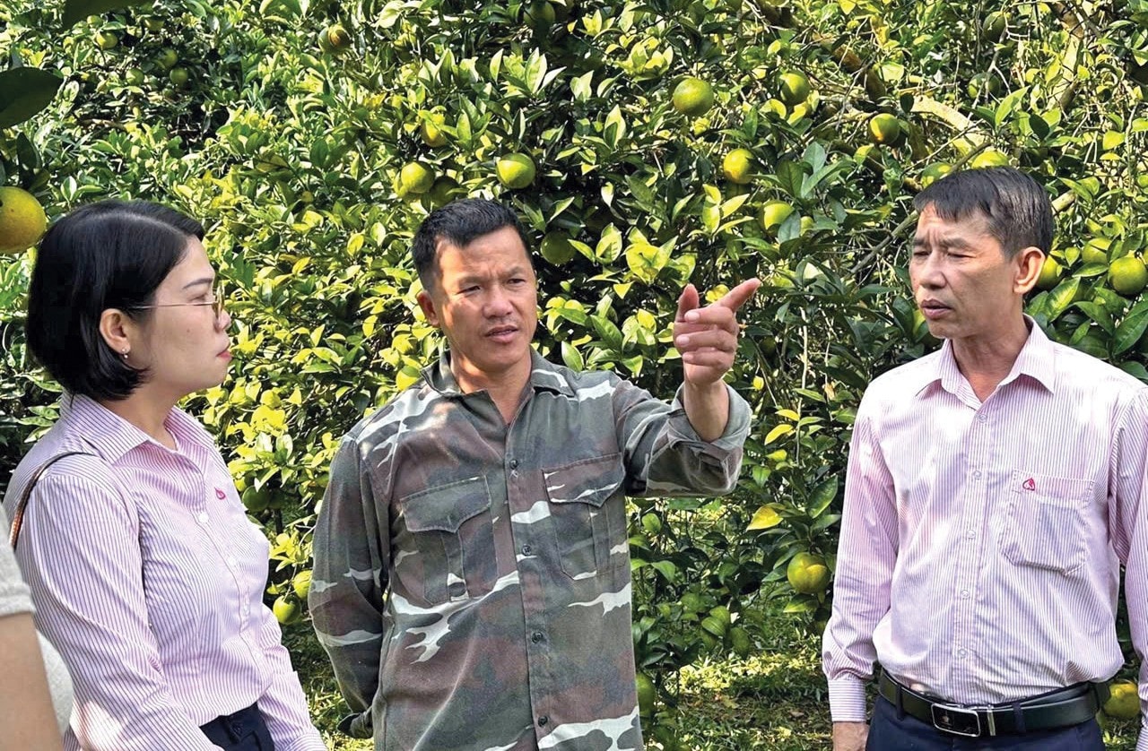 Người dân khó khăn ở Bắc Kạn luôn có sự đồng hành của cán bộ NHCSXH. Ảnh: D. Dư