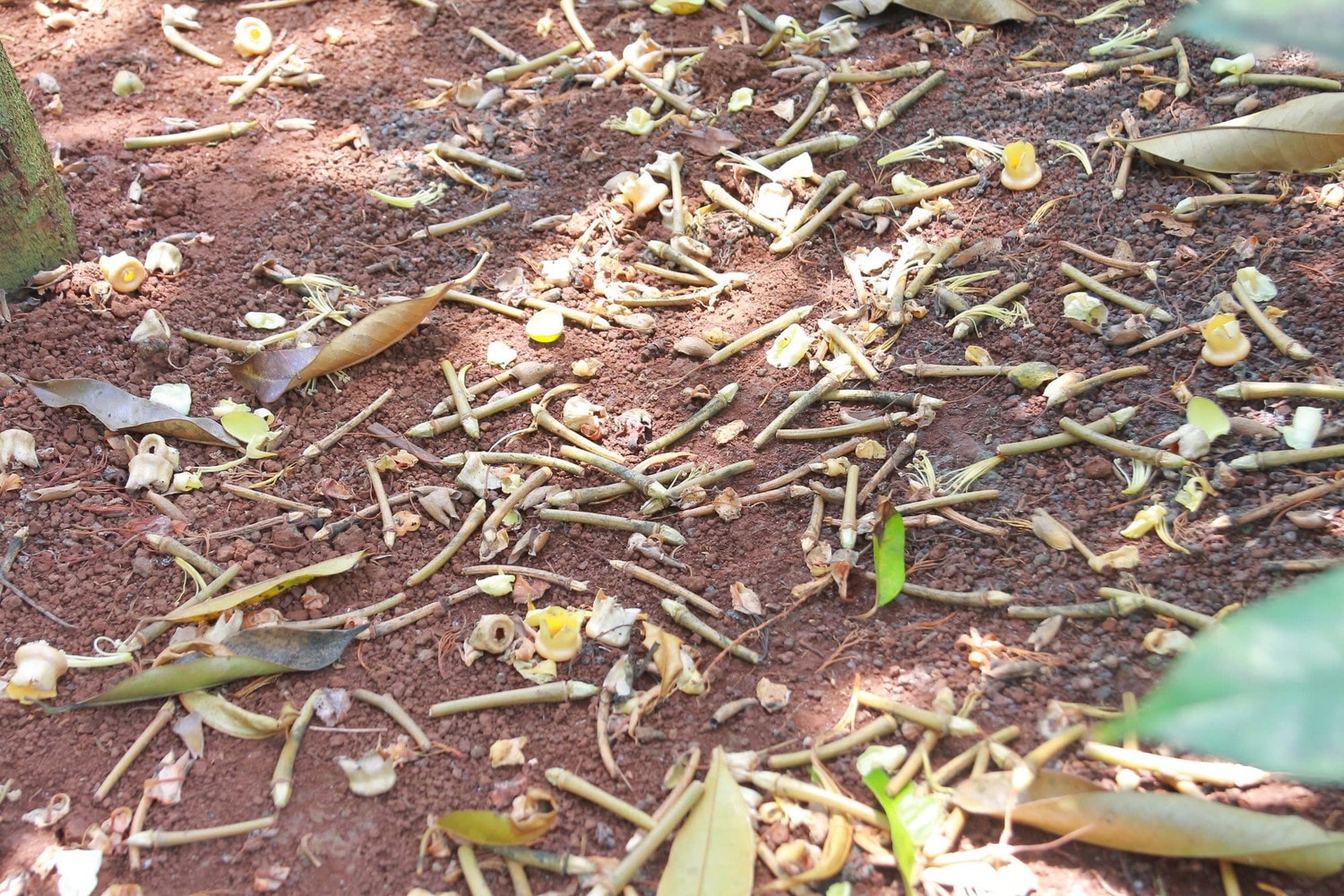 img-9012.jpg