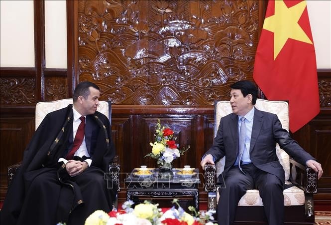 Chủ tịch nước Lương Cường tiếp Đại sứ Cộng hoà Dân chủ Nhân dân Algeria tại Việt Nam Azeddine Bechka. Ảnh: Lâm Khánh/TTXVN