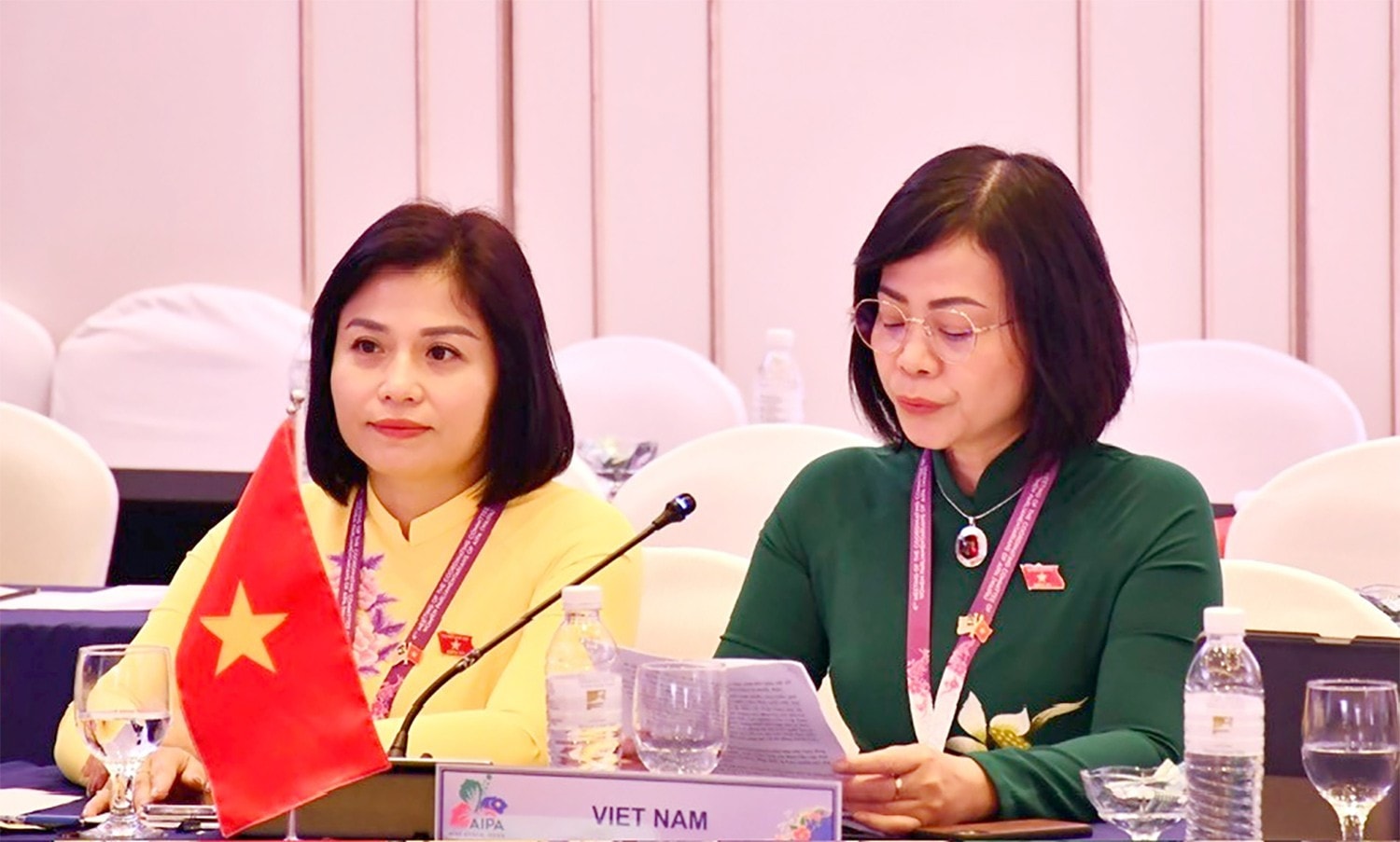 Ủy viên là ĐBQH hoạt động chuyên trách tại Ủy ban Văn hóa và Xã hội Nguyễn Thanh Cầm phát biểu