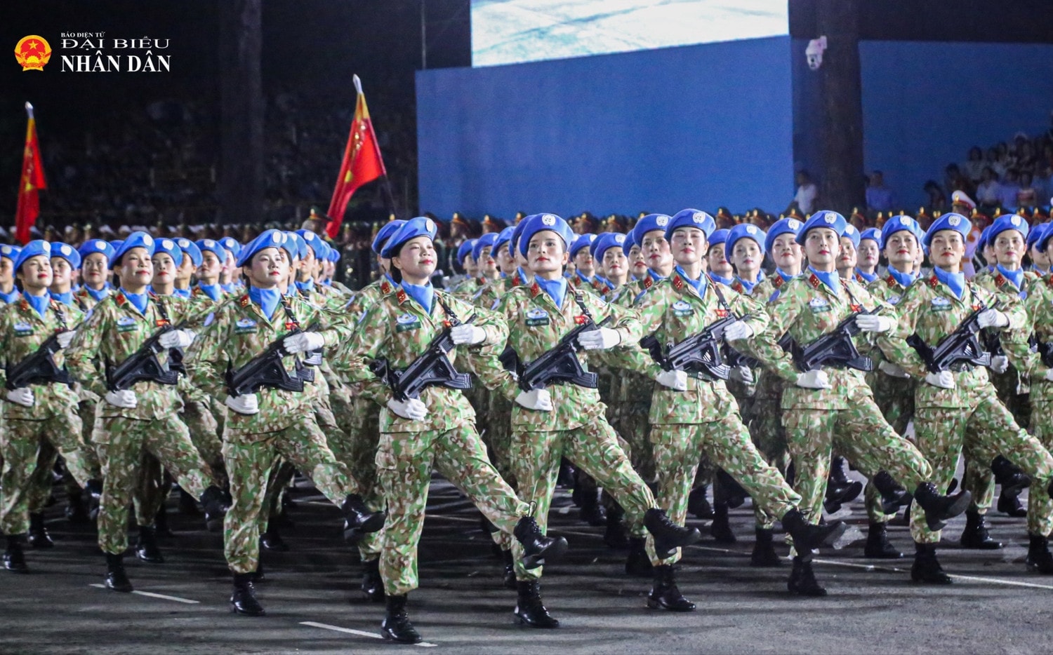 25-8746.jpg
