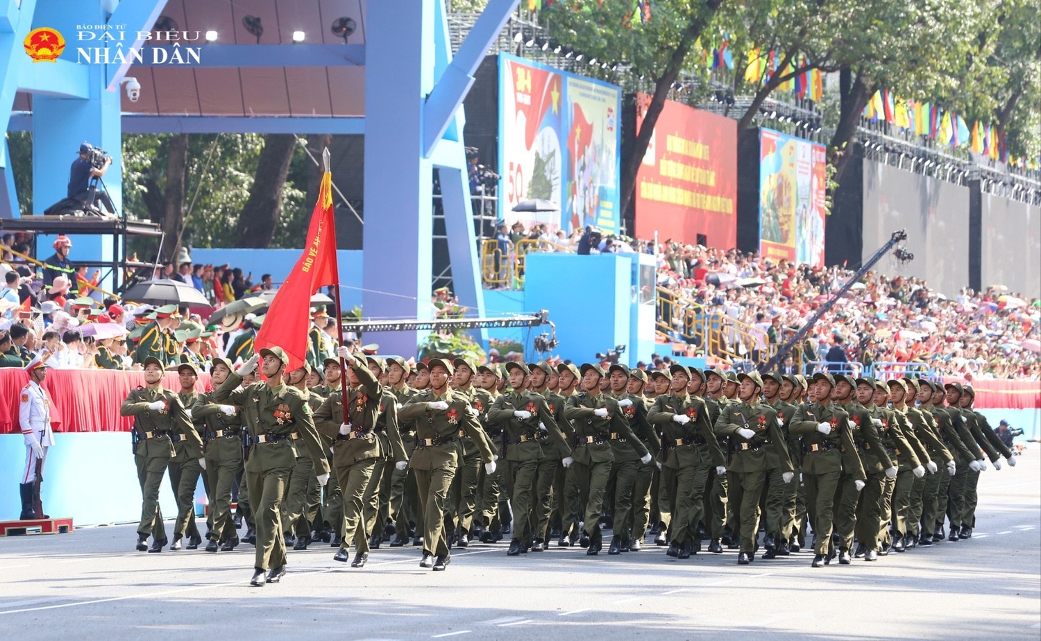 35-5785.jpg