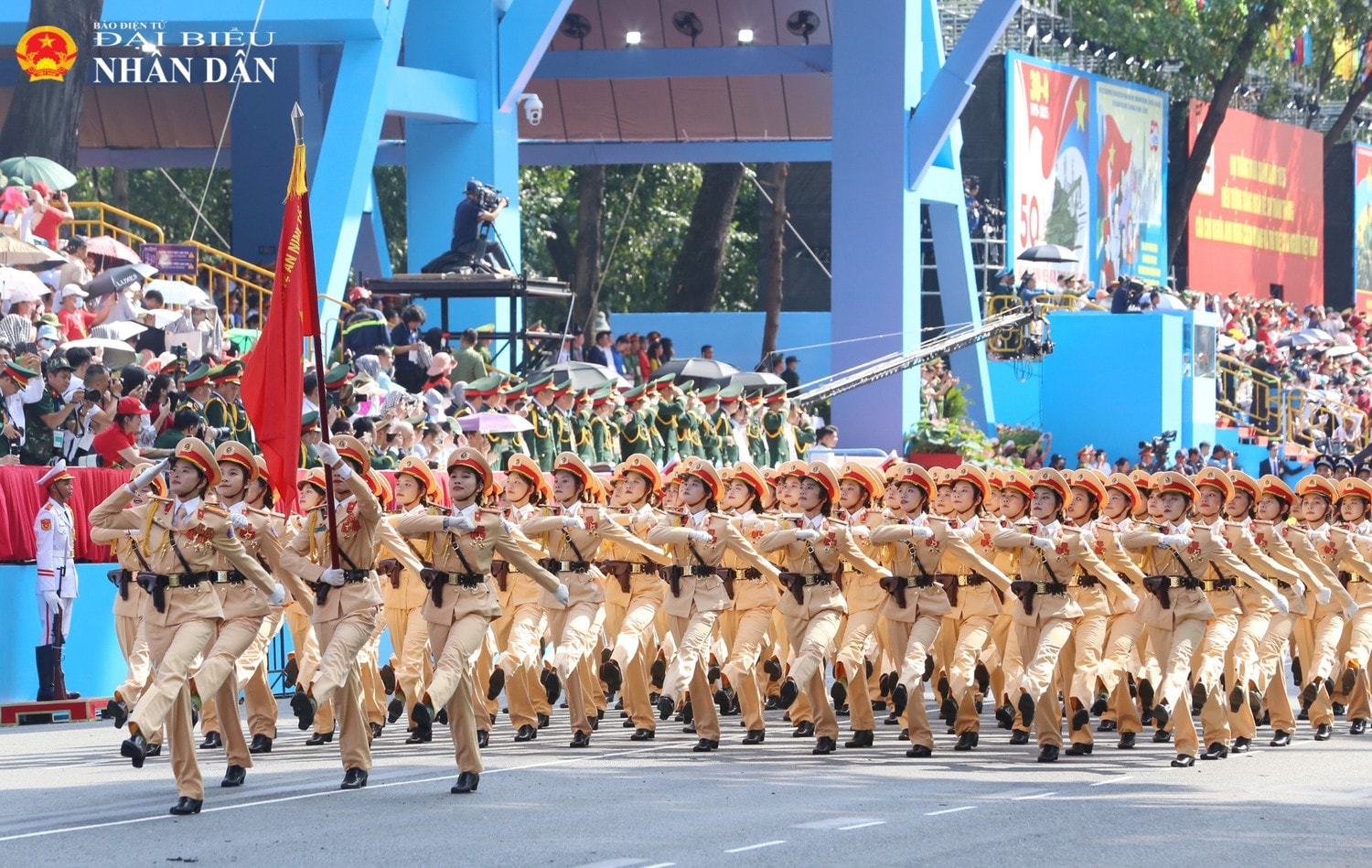 31-6343.jpg