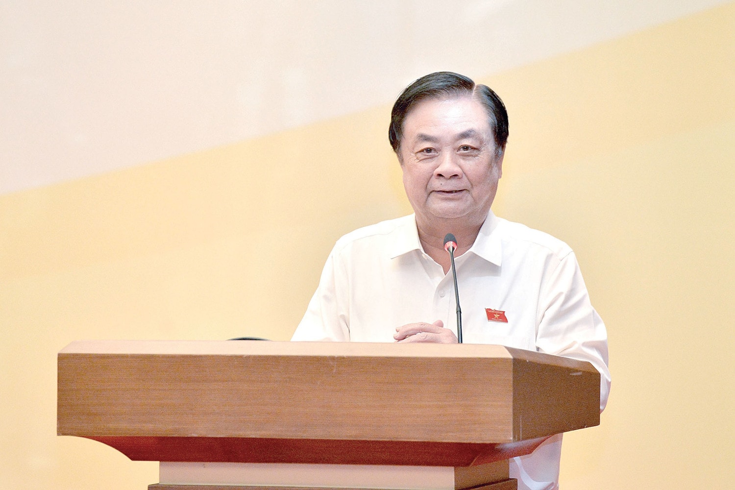 pho-chu-tich-qh-le-minh-hoan-phat-bieu-1.jpg