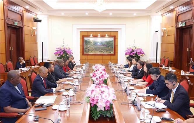Thường trực Ban Bí thư Trần Cẩm Tú tiếp Tổng thư ký Đảng Mặt trận giải phóng Mozambique (FRELIMO) Chakil Felizardo Aboobacar. Ảnh: Phương Hoa/TTXVN