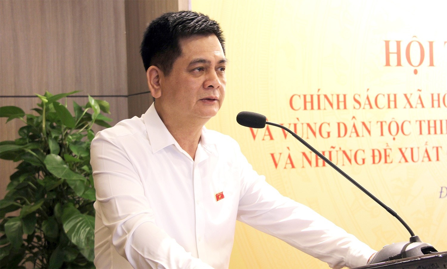 Phó Chủ tịch Hội đồng Dân tộc Nguyễn Lâm Thành phát biểu tại hội thảo.