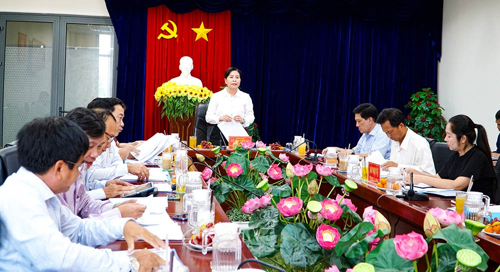 Phó Chủ tịch điều hành hoạt động HĐND tỉnh Cà Mau Lê Thị Nhung kết luận cuộc làm việc. Ảnh: Quốc Rin