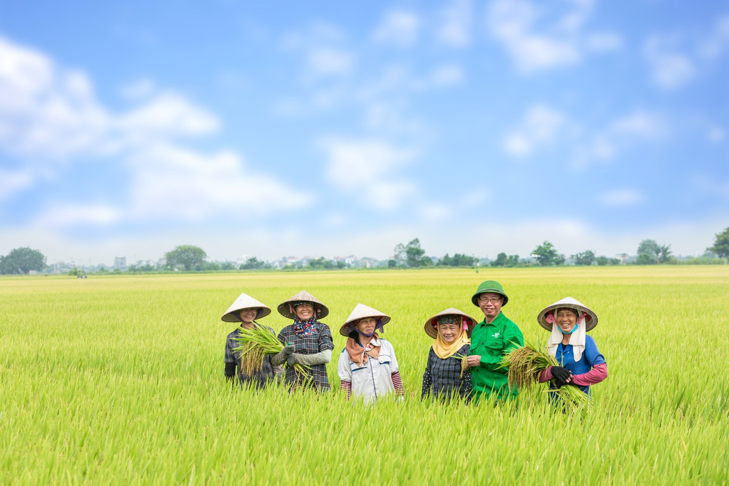 ahld-tran-manh-bao.jpg