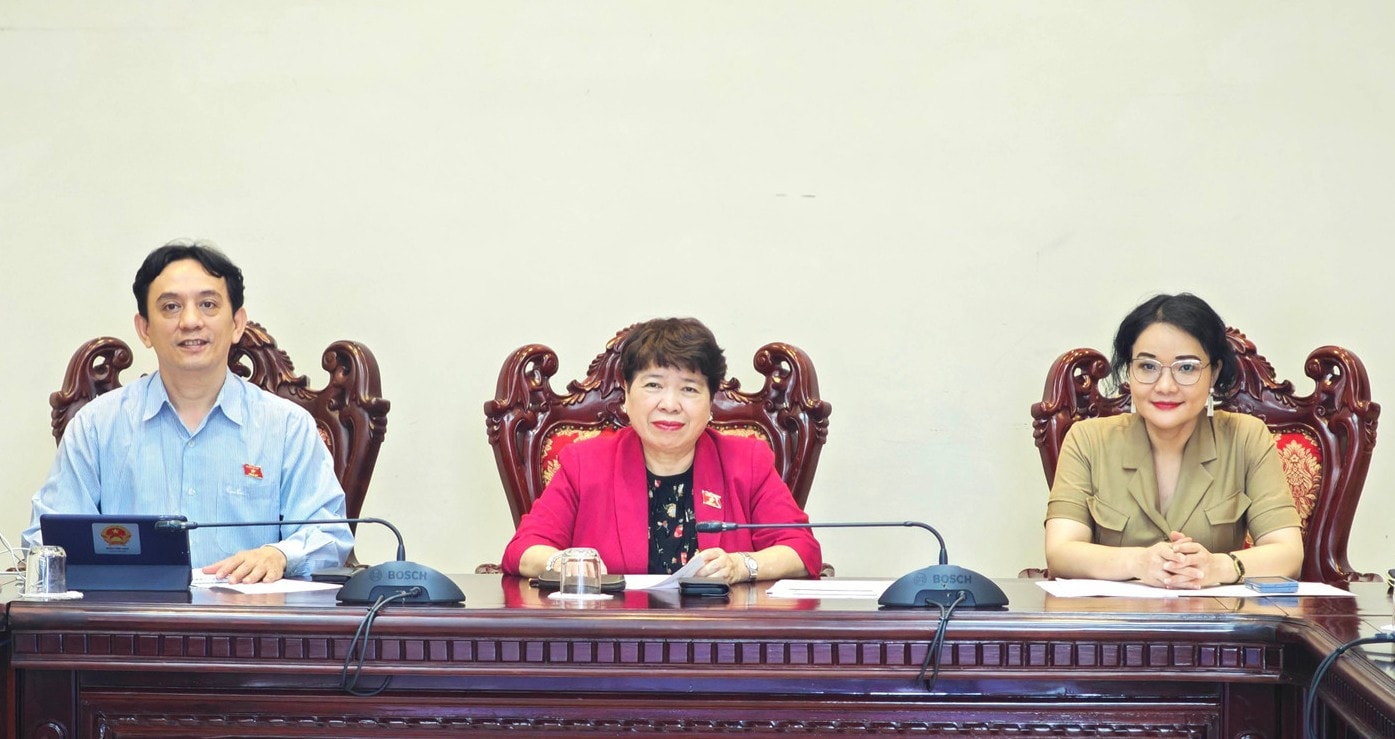 Chủ tịch Phân ban Việt Nam trong APF Nguyễn Thúy Anh và các đại biểu tham dự tại điểm cầu Việt Nam