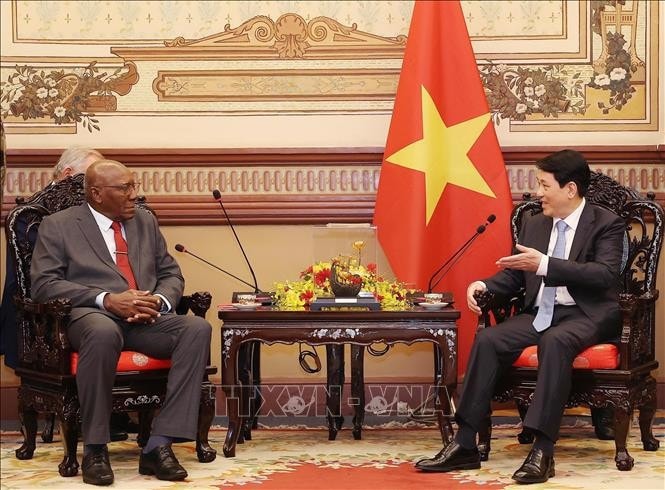 Chủ tịch nước Lương Cường tiếp Phó Chủ tịch nước Cuba Salvador Valdes Mesa. Ảnh: Lâm Khánh/TTXVN