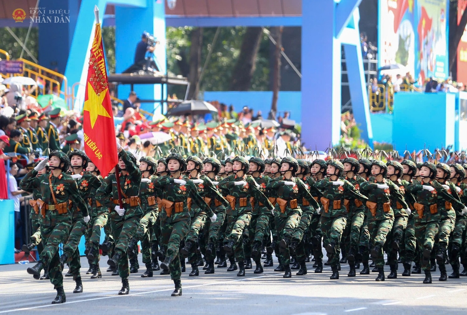 k7.jpg