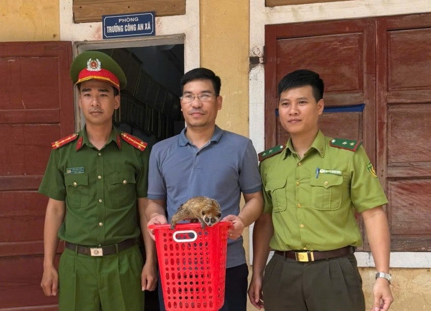cu-li.jpg