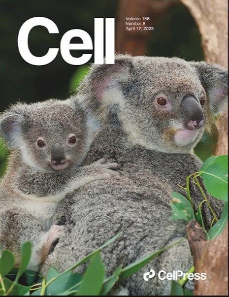 tap chi celll 1