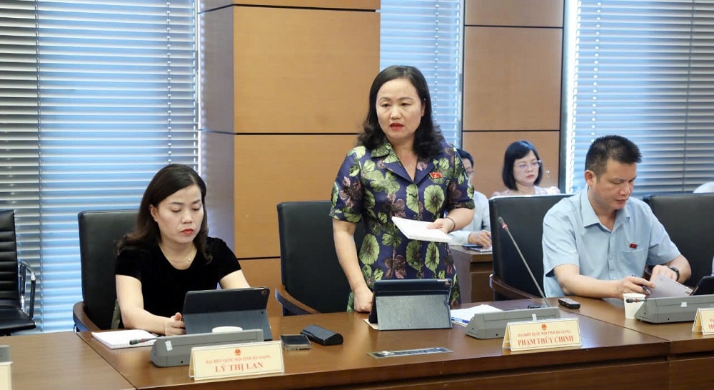 ĐBQH Phạm Thuý Chinh, Đoàn Đại biểu QH tỉnh Hà Giang, Phó Chủ nhiệm Uỷ ban Kinh tế và Tài chính Quốc hội