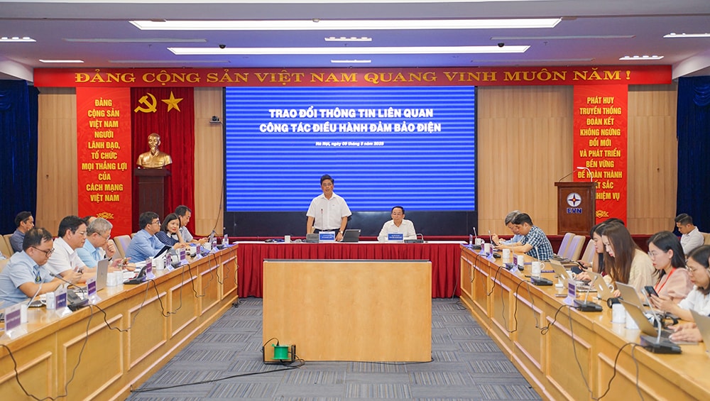 Phó Tổng giám đốc EVN Võ Quang Lâm phát biểu