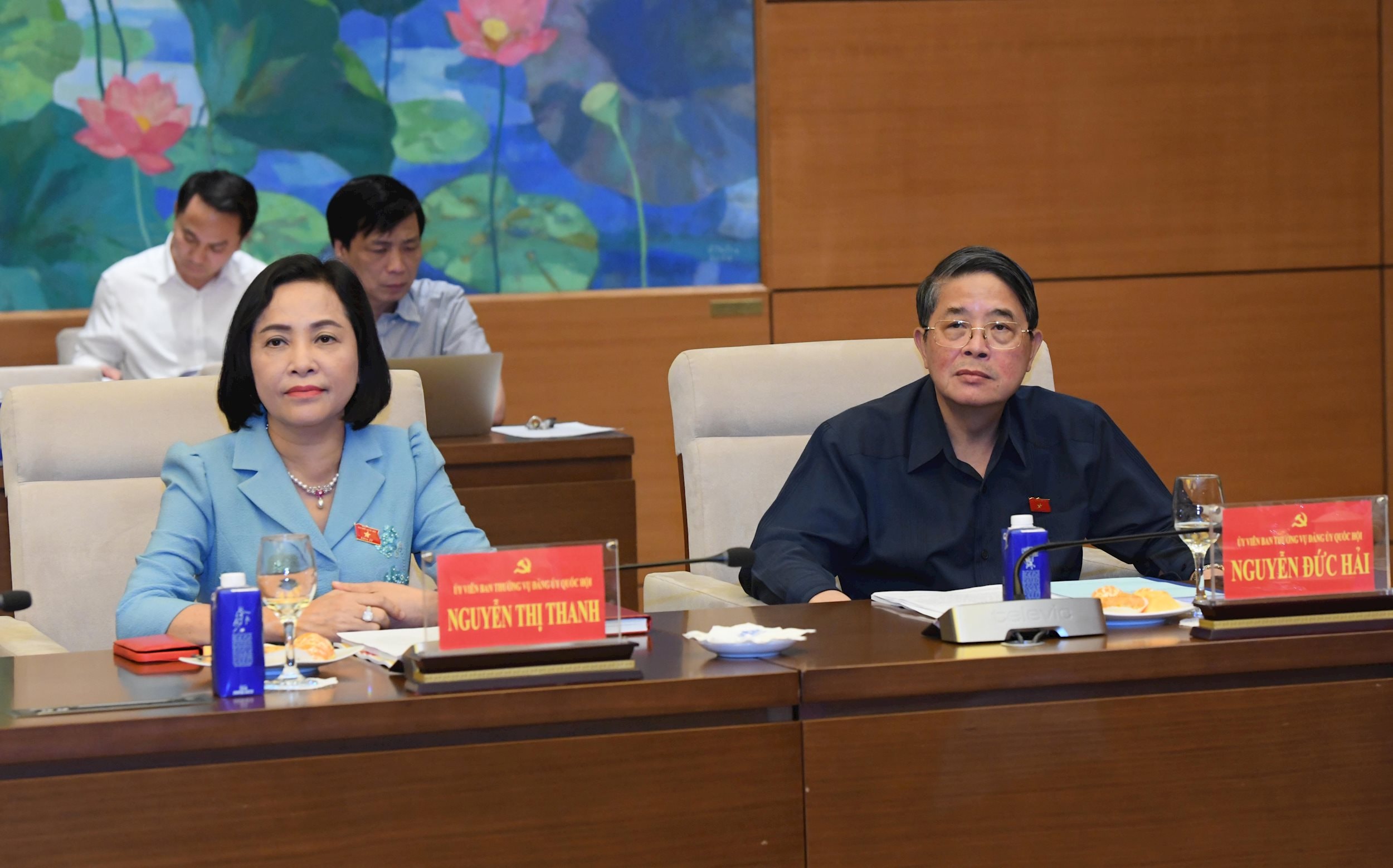 Các đại biểu tham dự cuộc họp.2