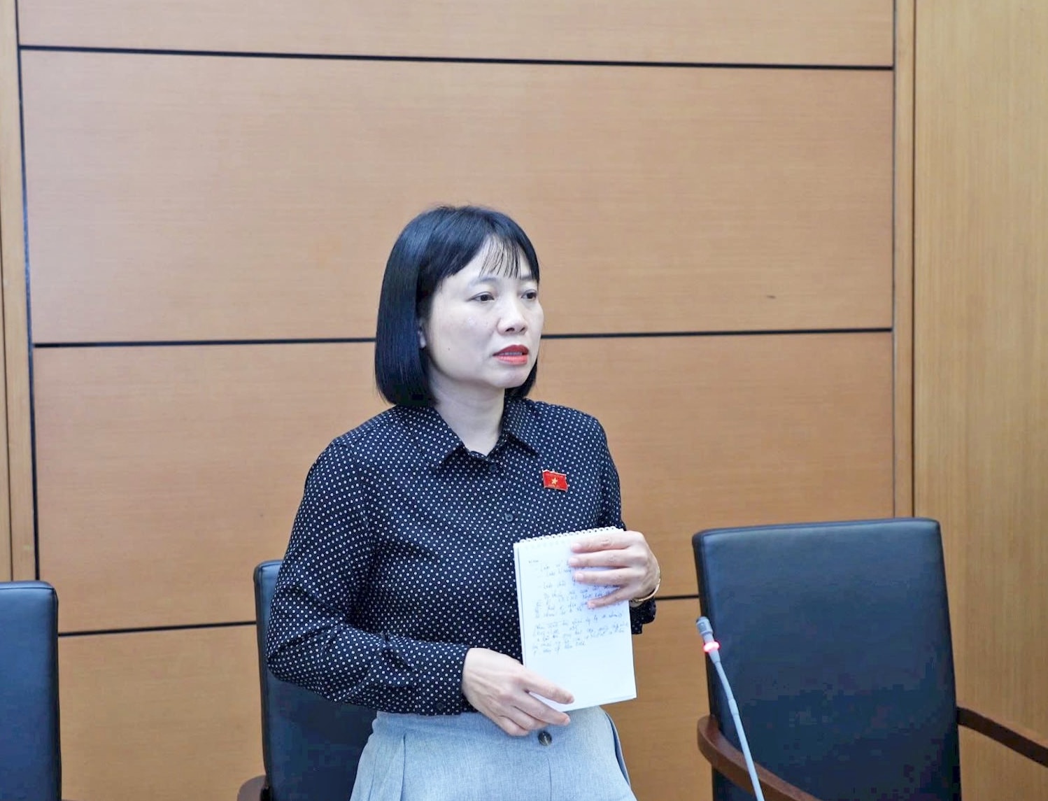 Đại biểu Nguyễn Thị Việt Nga (Hải Dương) phát biểu
