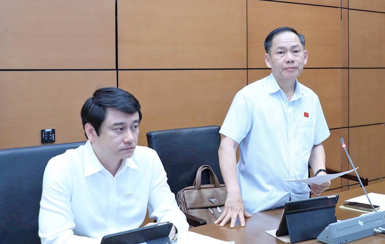 Đại biểu Trần Đình Gia (Hà Tĩnh) phát biểu