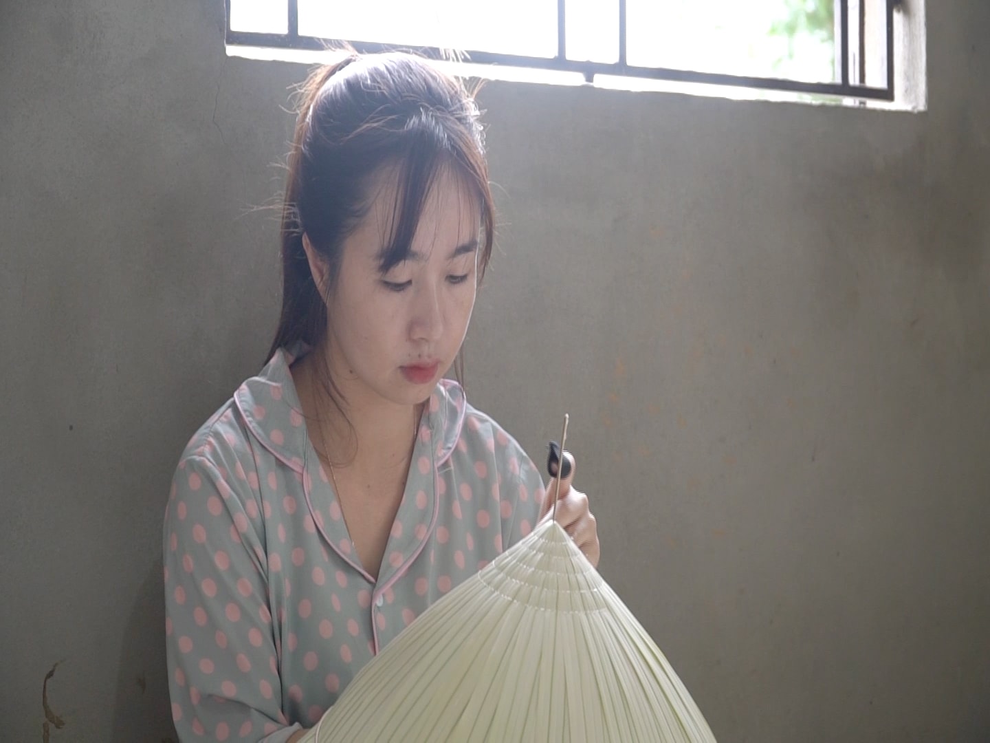 ANH 7.