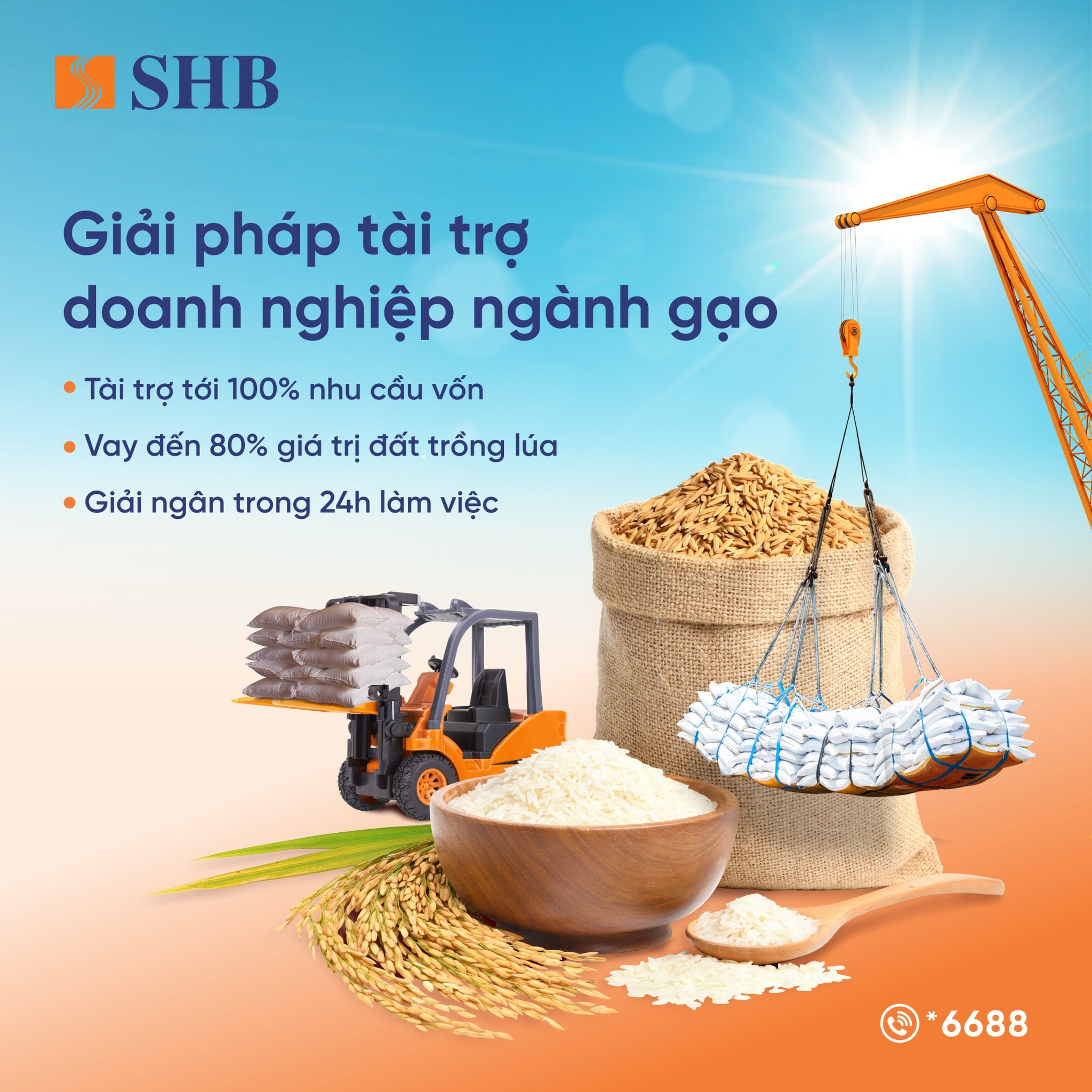 SHB-ngành gạo