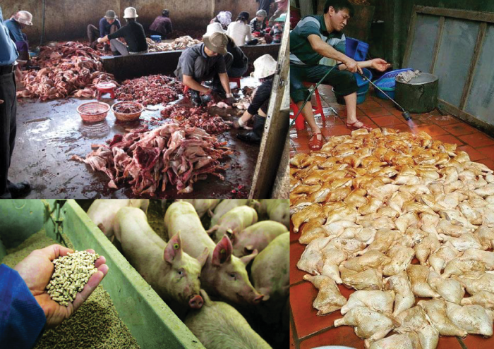 thuc-pham-ban-tran-lan-tren-thi-truong.png