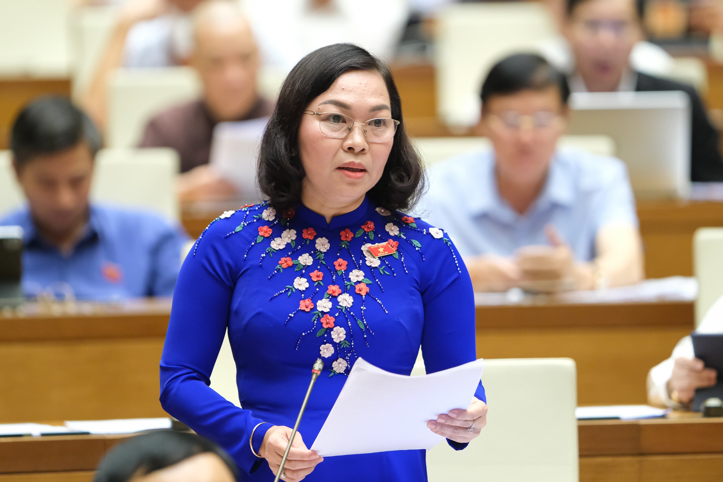 Ảnh 1- Đại biểu Lý Anh Thư – Đoàn ĐBQH tỉnh Kiên Giang. Ảnh qhvn