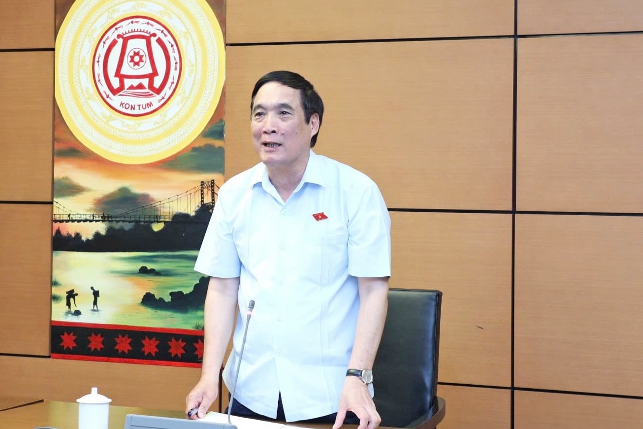 ĐBQH Bùi Minh Châu (Phú Thọ) phát biểu. Ảnh: Khánh Duy
