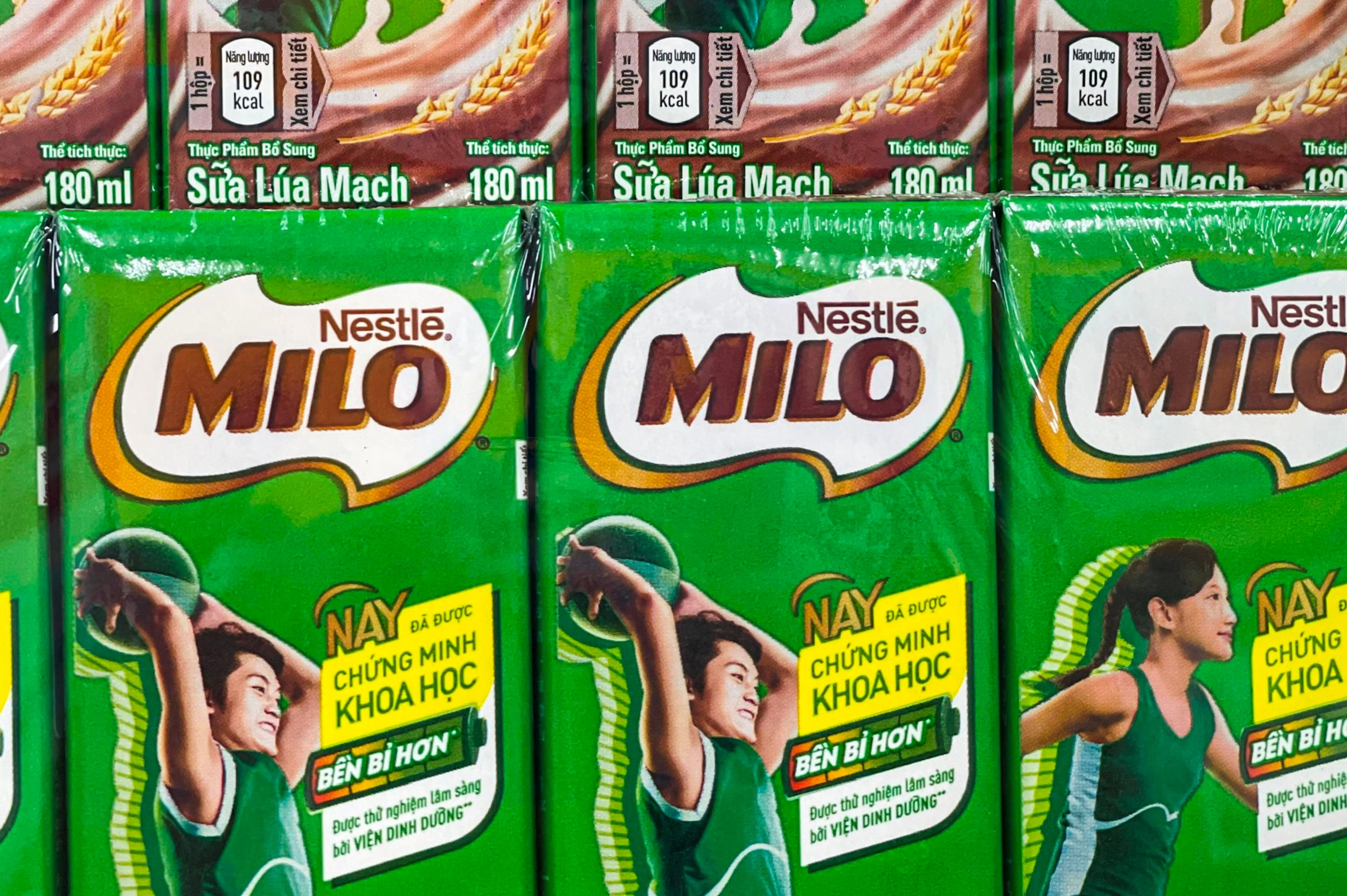 milo.jpg