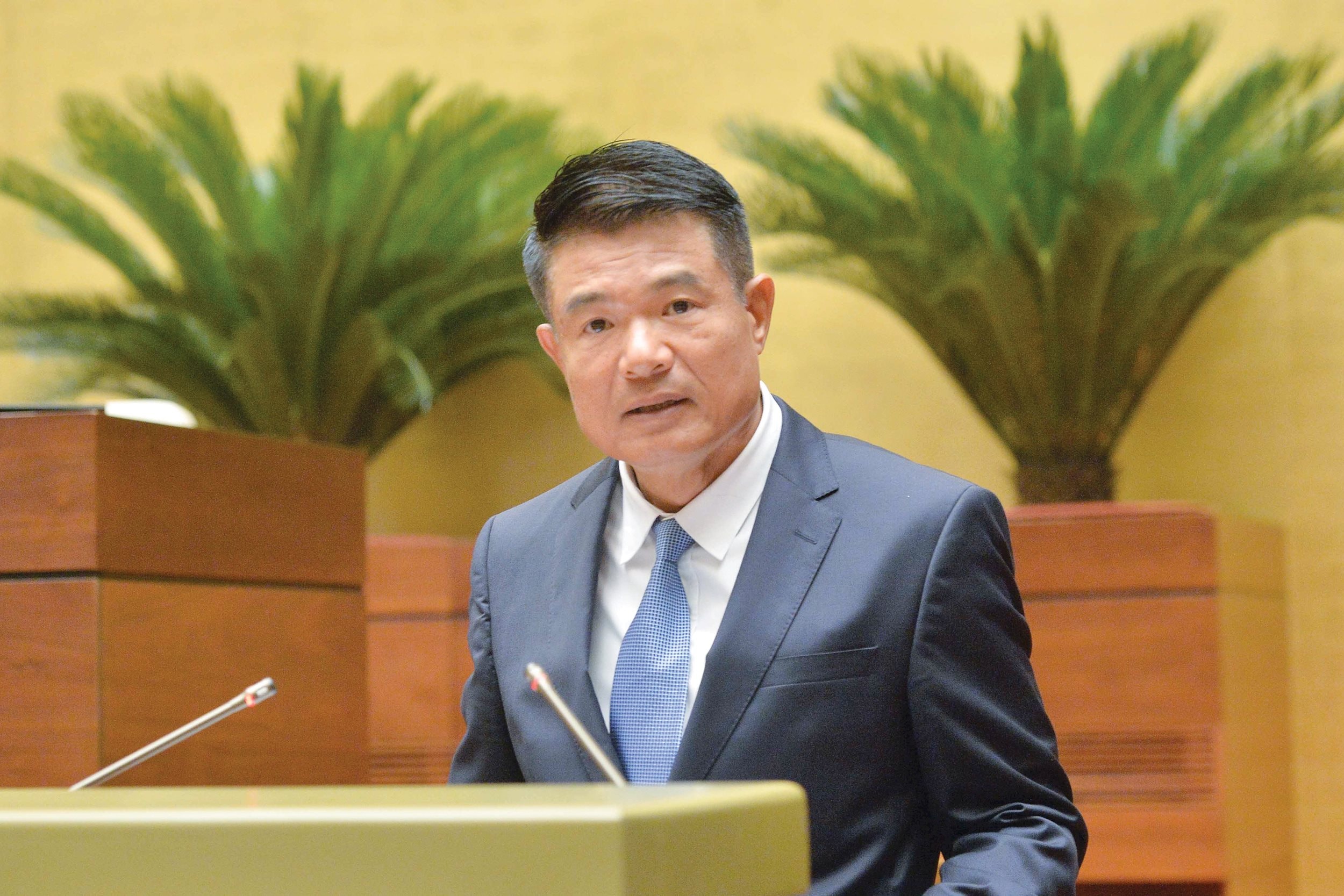 vien-truong-vks02.jpg
